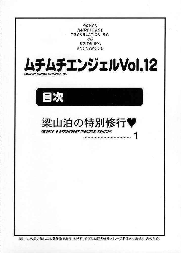 Muchi Muchi Angel Vol. 12