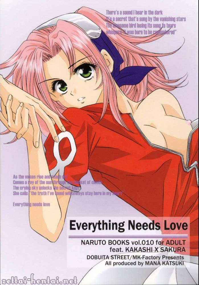 Everything Needs Love