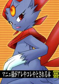 Weavile's This-and-that Book