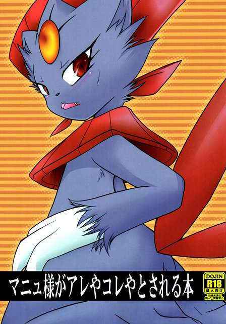 Weavile's This-and-that Book