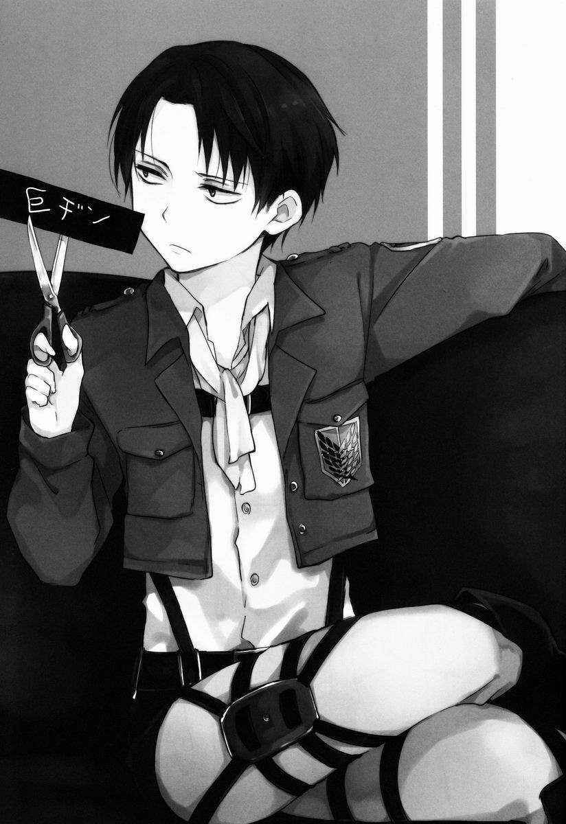 [hey you! (Non)] Heichou Gokyouryoku Onegaiitashimasu (Shingeki no Kyojin)