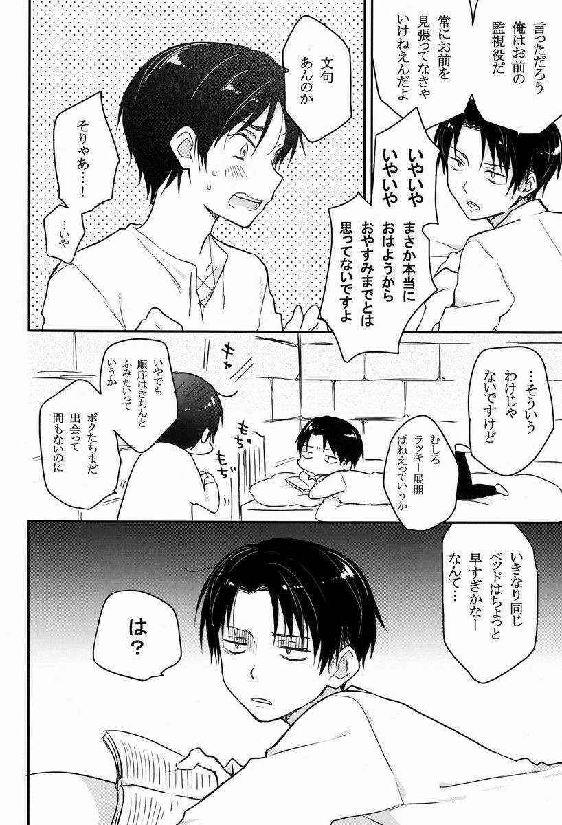 [hey you! (Non)] Heichou Gokyouryoku Onegaiitashimasu (Shingeki no Kyojin)