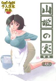 Yamahime No Mi Satomi 1 Chinese