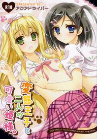 (C84) [Aquadriver (Aino Serin)] Hentai Ouji to Futari no Kawaii Hime-sama (Hentai Ouji to Warawanai Neko.)