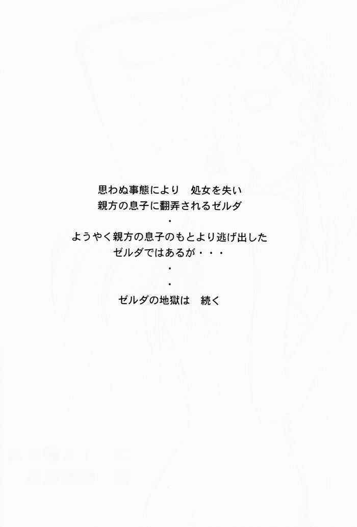 Niseゼルダの伝説 真章