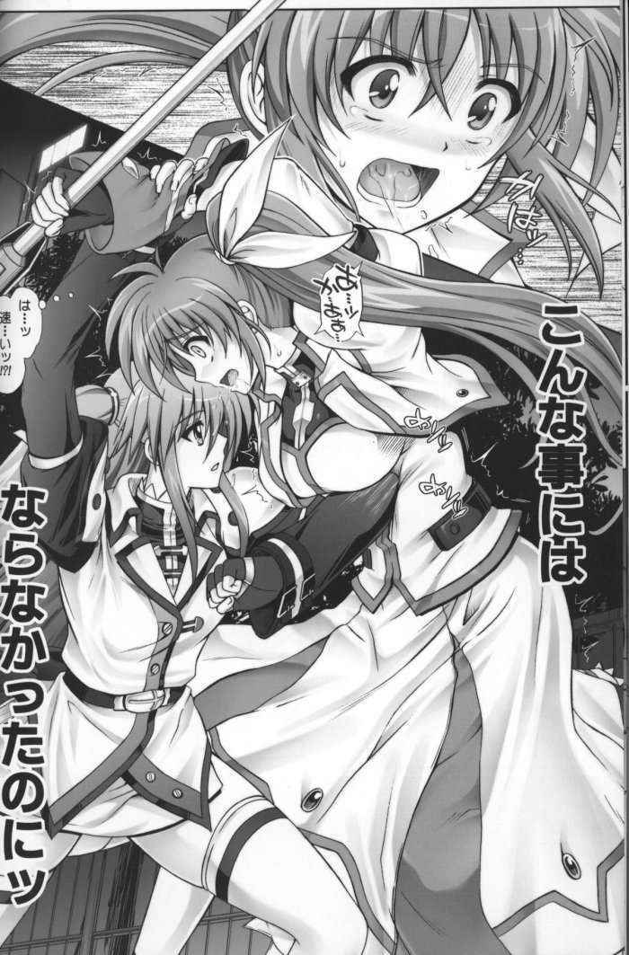 Nanoha-san Ga Fukaku Wo Totta!