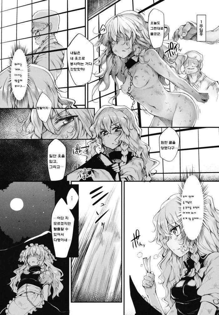 Marisa Wa Taihen Na Choukyou Wo Uketeshimaimashita Korean