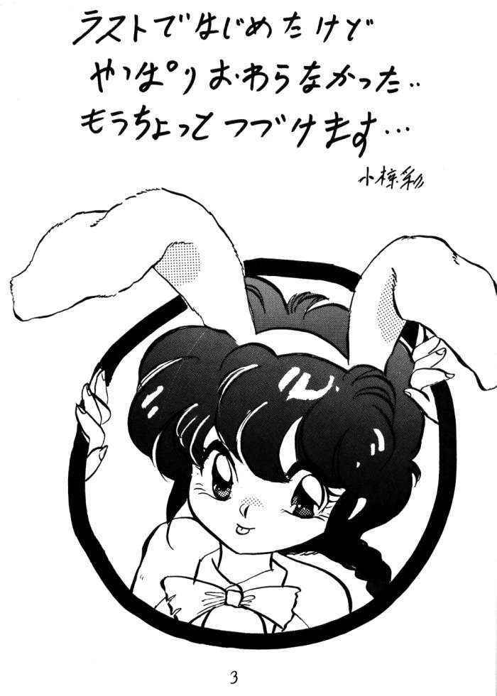 Ranma No Manma 2.5