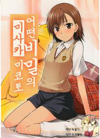 Toaru Himitsu No Oneesama Korean