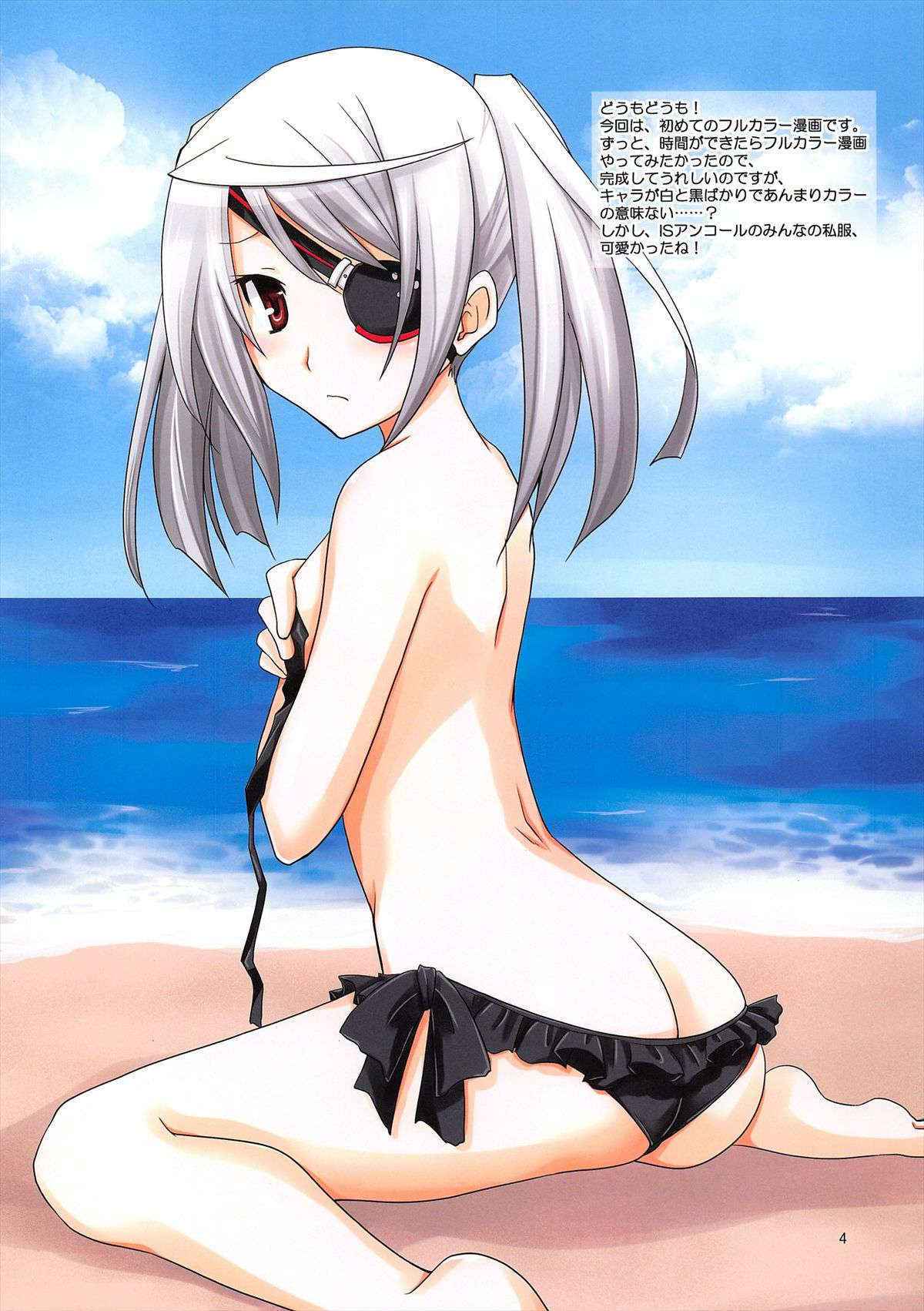 (C81) [CHAGASHI SAIBAN (Yamabuki Mook)] Laura Taichou to Dekirukana? (Infinite Stratos)