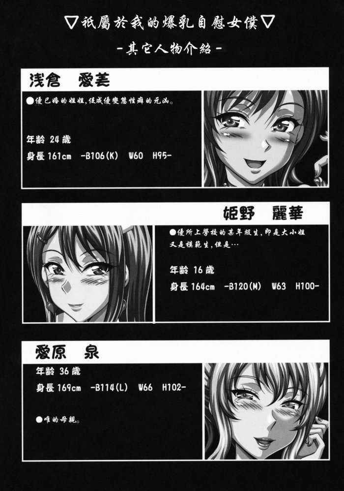 Himeno Reika Shuusakushuu Chinese