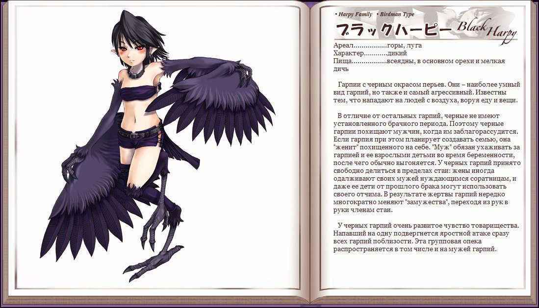 Mamono Musume Zukan I -monster Girl Encyclopedia-