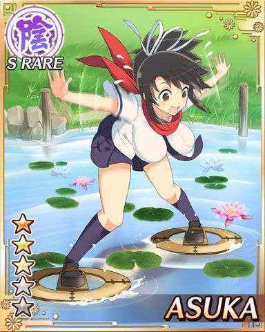 Senran Kagura Cards