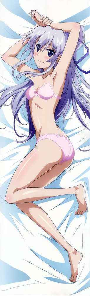 Campione Dakimakura