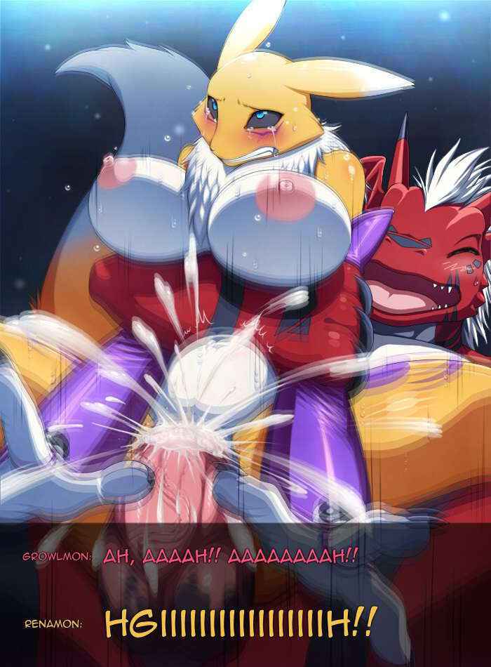 Renamon X Growlmon