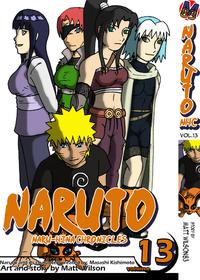 Naruto Naru-hina Chronicles Volume 13