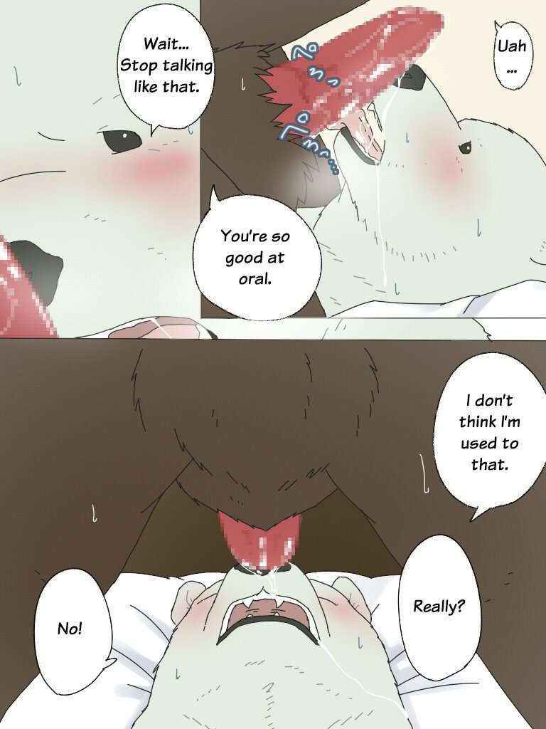 Shirokuma-san To Haiiroguma-san Ga Ecchi Suru Dake