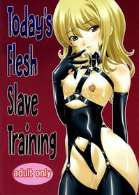 Honjitsu No Nikudorei Choukyou | Today’s Flesh Slave Training