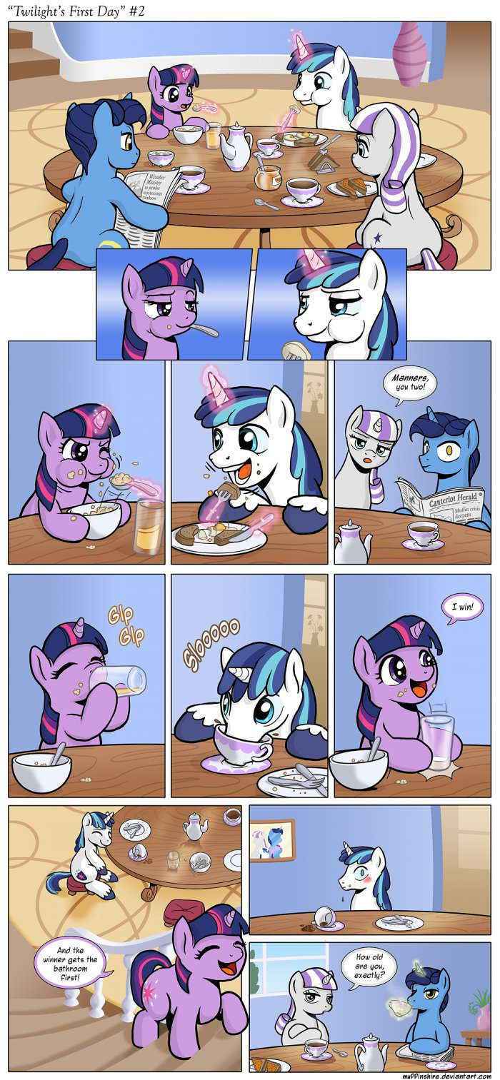 Twilight’s First Day