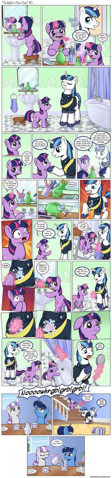 Twilight’s First Day