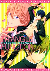 Triangle Function Ver. Dt