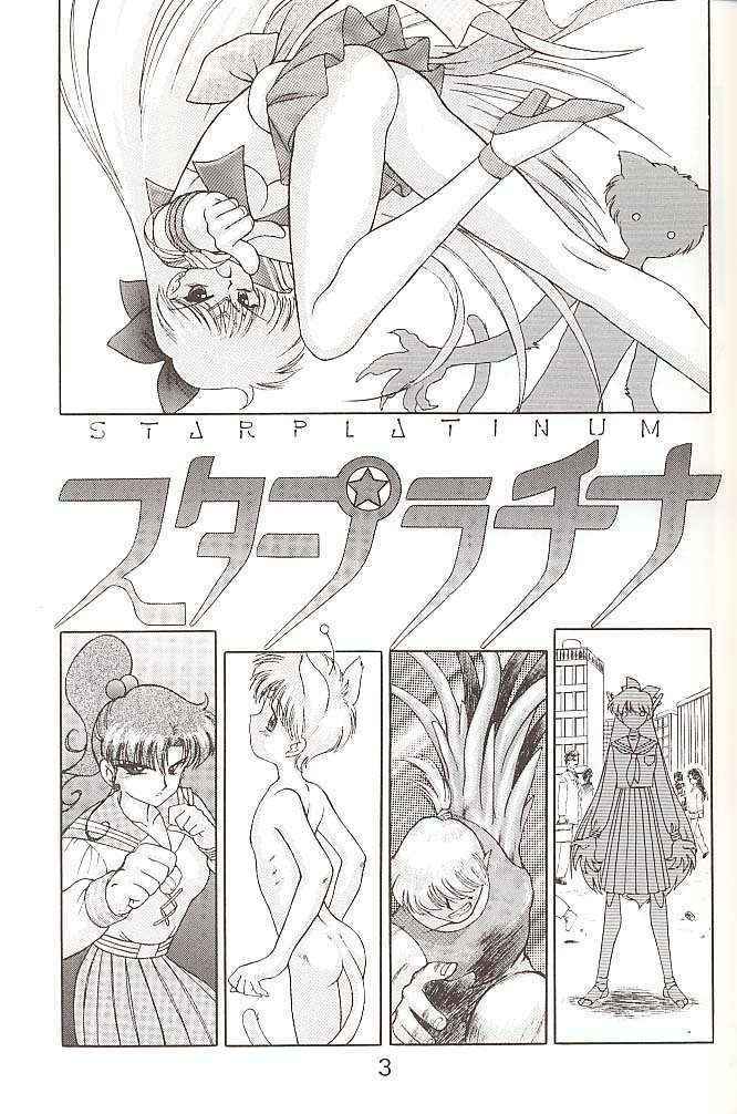 [BLACK DOG] [1998-05-19] Star Platinum [English]