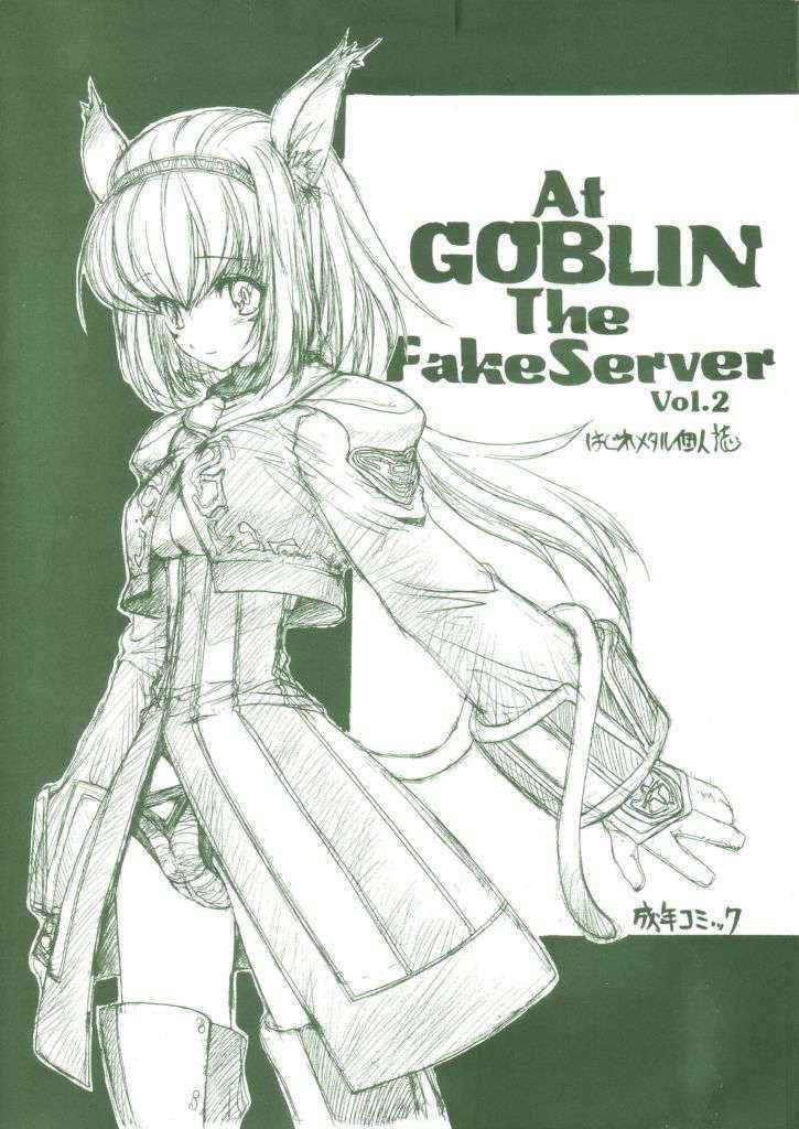 [ZINZIN] At Goblin The Fake Server Vol.2 (Final Fantasy XI)