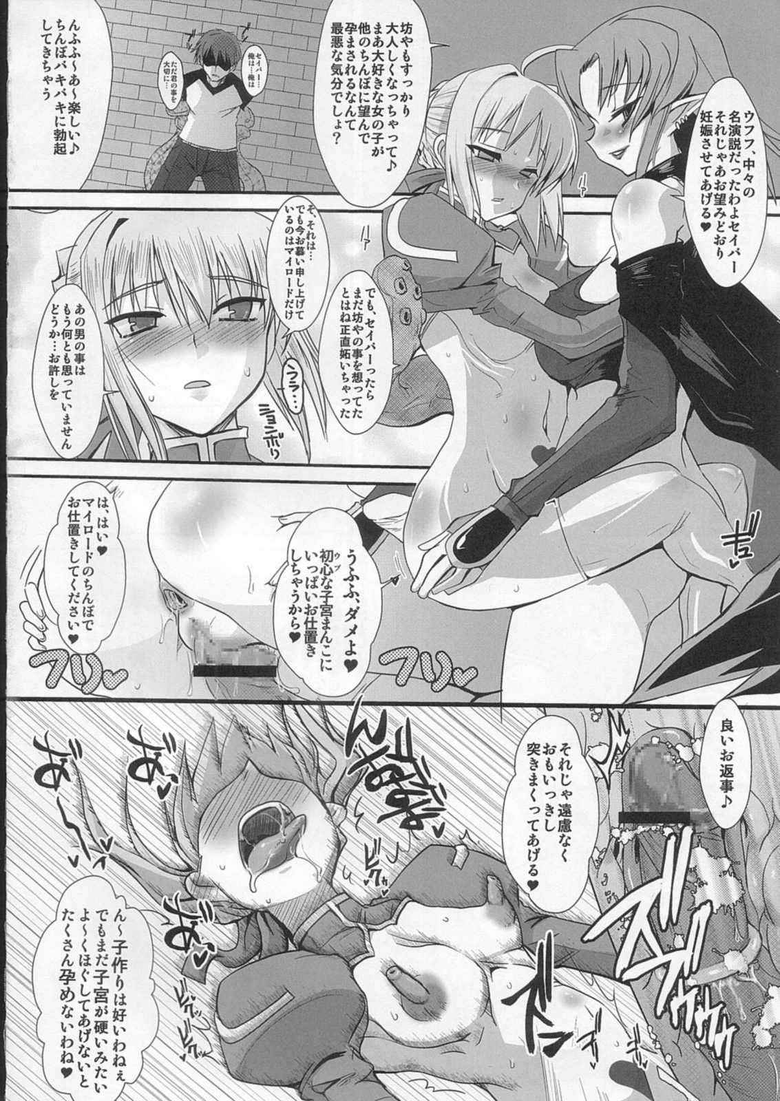 (C73) [YOMOTUHIRASAKA, Heart’s Nest (bbsacon, hato)] Kishiou Kougyaku Seido Extra (Fate/stay night)