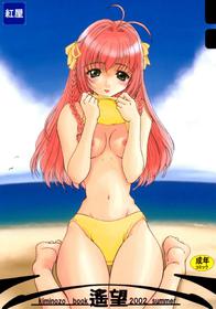 Kimi Ga Nozomu Eien - Haruka Nozo -Kiminozo Book 2002 Summer-