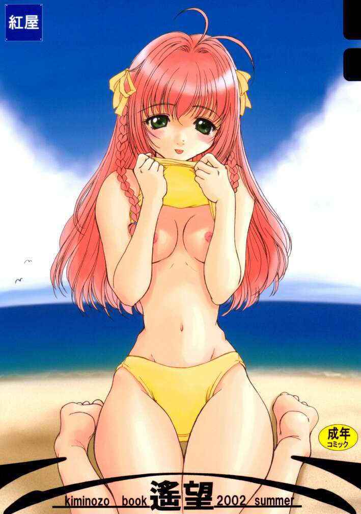 Kimi Ga Nozomu Eien - Haruka Nozo -Kiminozo Book 2002 Summer-