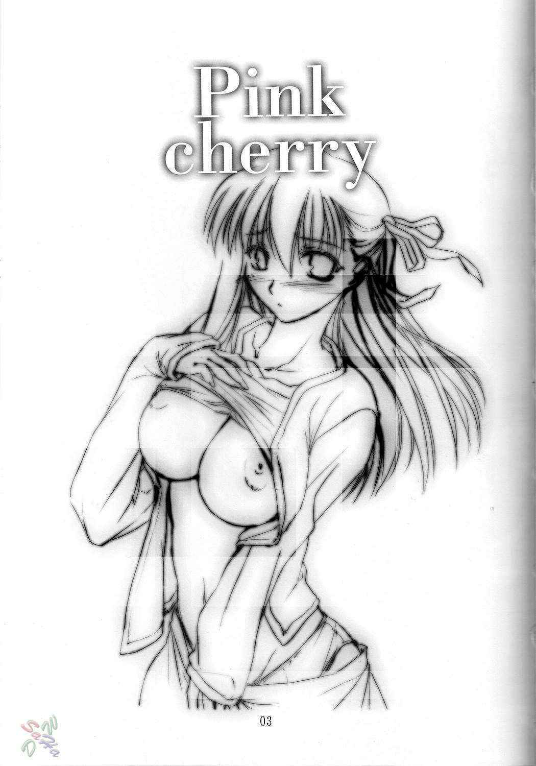 (C66) [Shimoyakedou (Ouma Tokiichi)] Pink Cherry (Fate/stay night) [English] [SaHa]