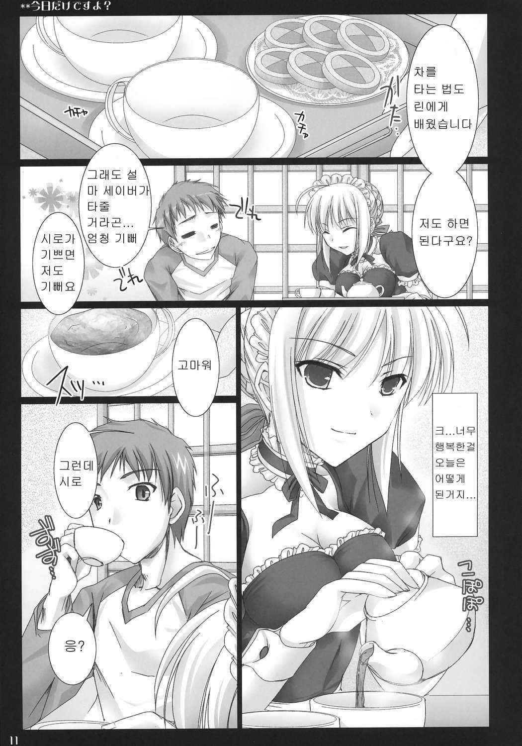 [UDON-YA] Kyou Dake Desu yo? (Fate/Stay Night) [Korean]