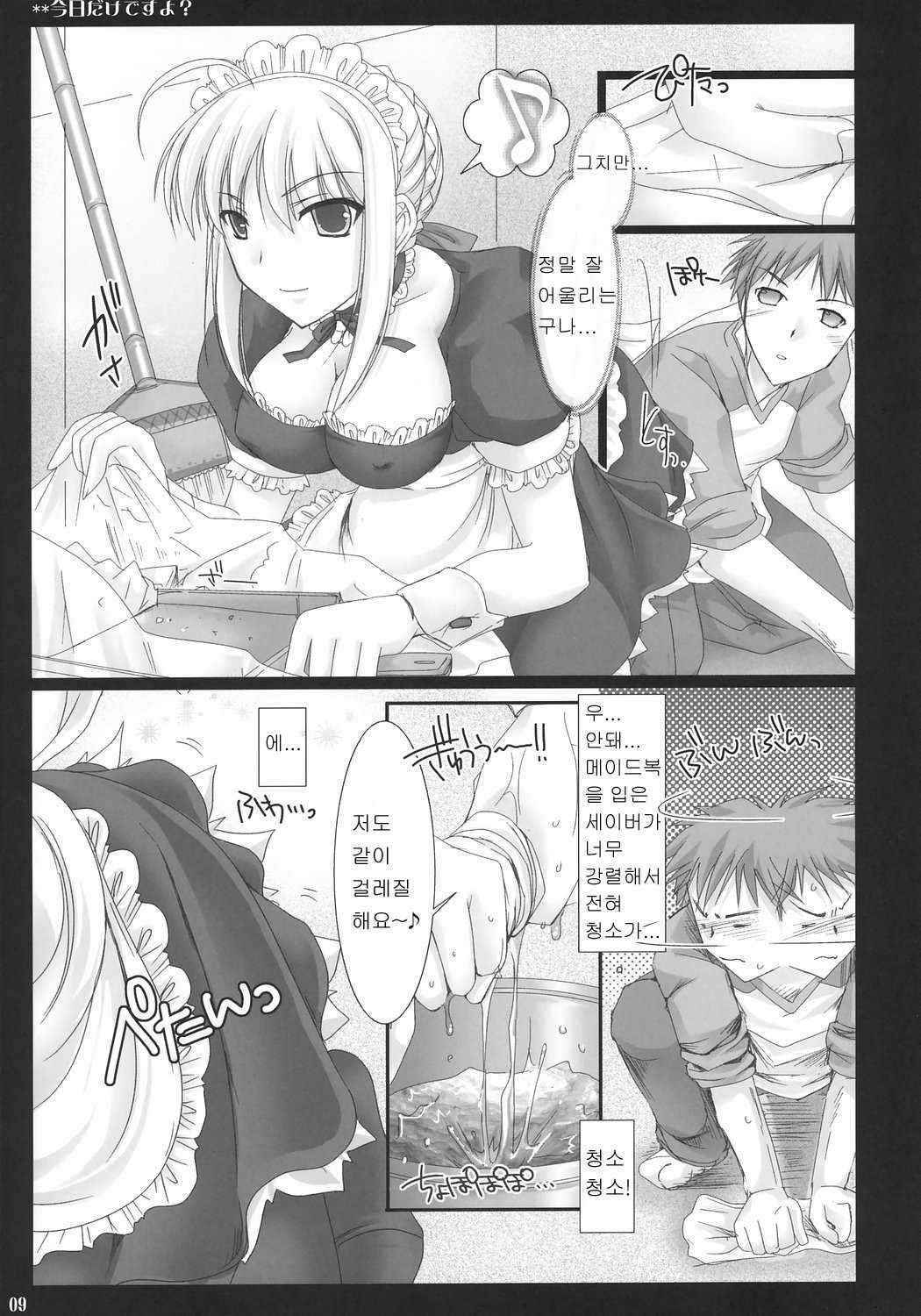 [UDON-YA] Kyou Dake Desu yo? (Fate/Stay Night) [Korean]