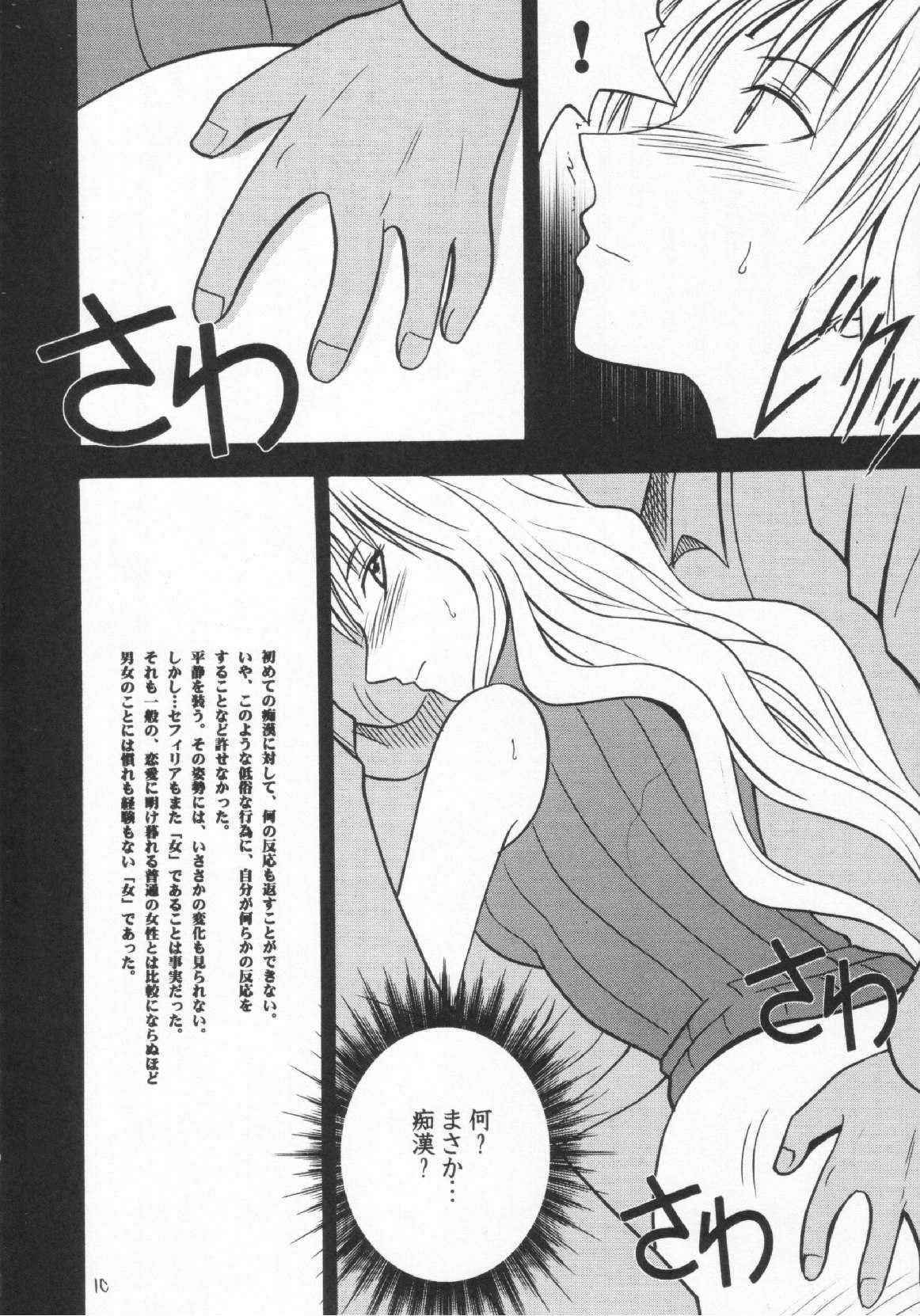 [Crimson Comics] Sephiria no Shimei (Black Cat)