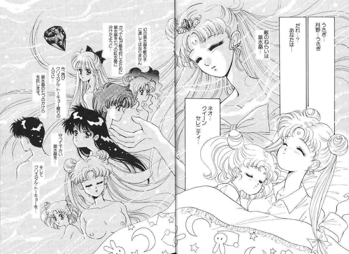 (Sailor Moon) Lunatic Party 5