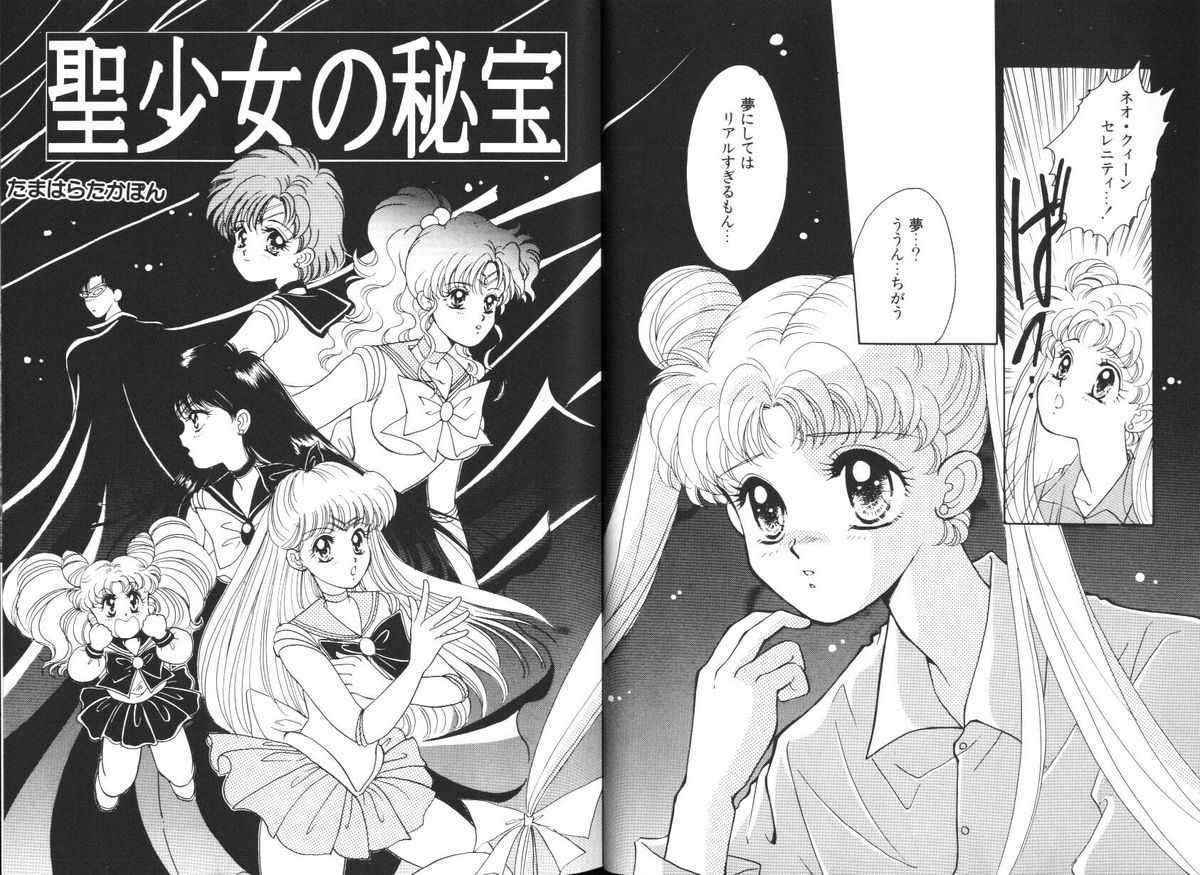 (Sailor Moon) Lunatic Party 5