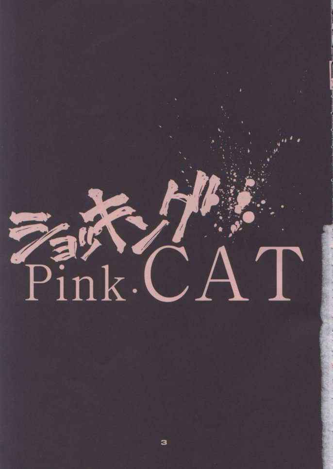 [PUSSY CAT]  Shoking Pink Cat