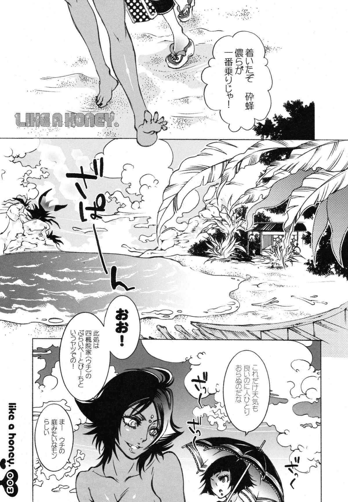 (C70) [Sadistic Mary (Hattori Mitsuka)] Like a Honey (Bleach)