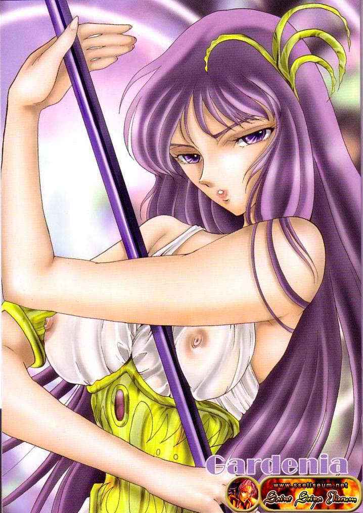 Saint Seiya - Gardenia