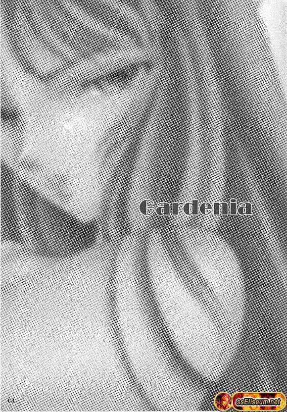 Saint Seiya - Gardenia