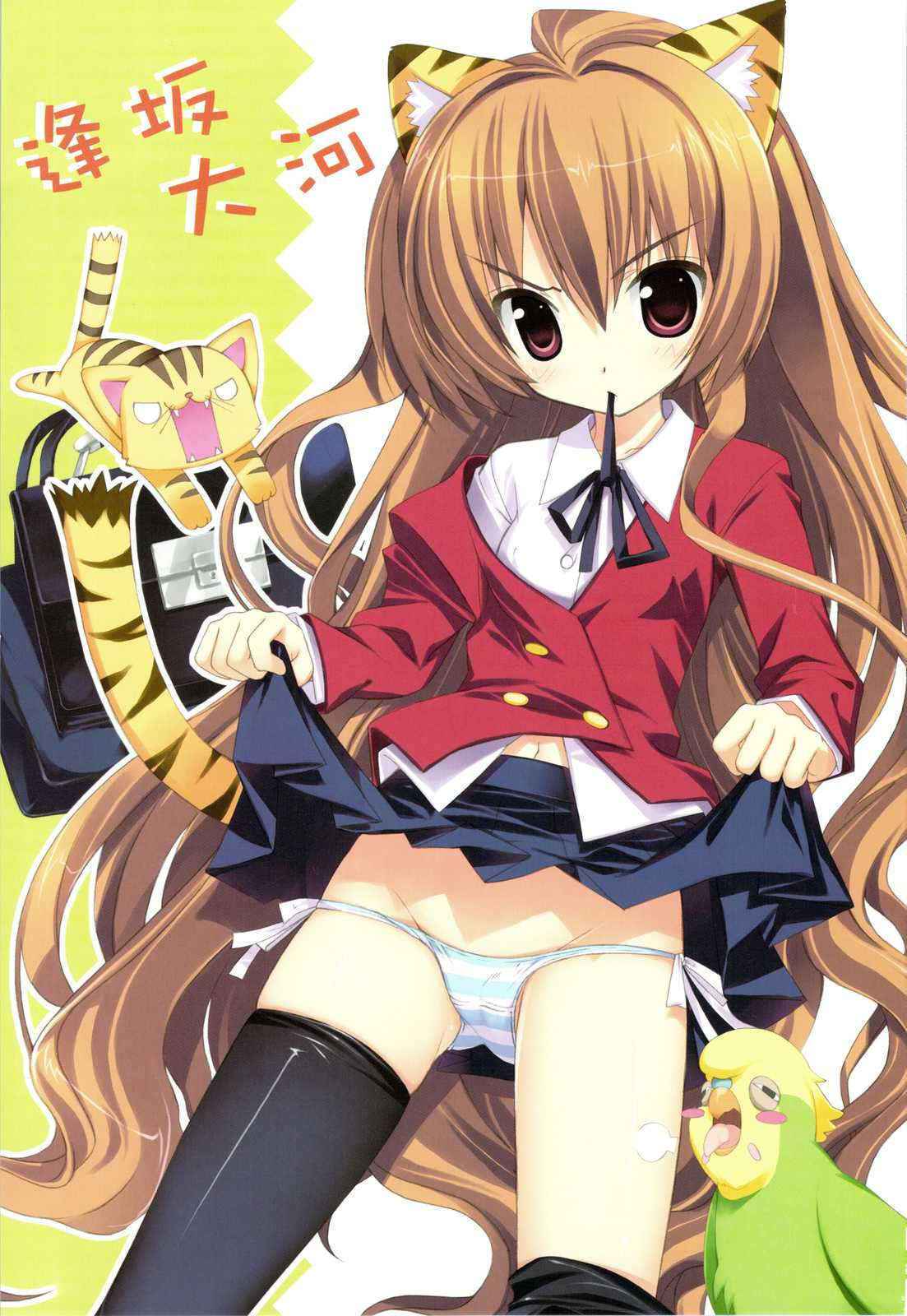 [ESSENTIA] hiza nori taiga (toradora)(C75)