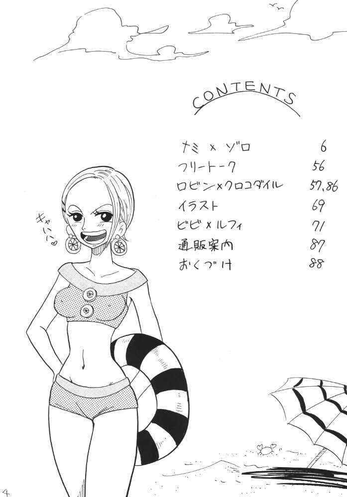 [Ginmomodou] Voyage Diary Scene 1 (One Piece)