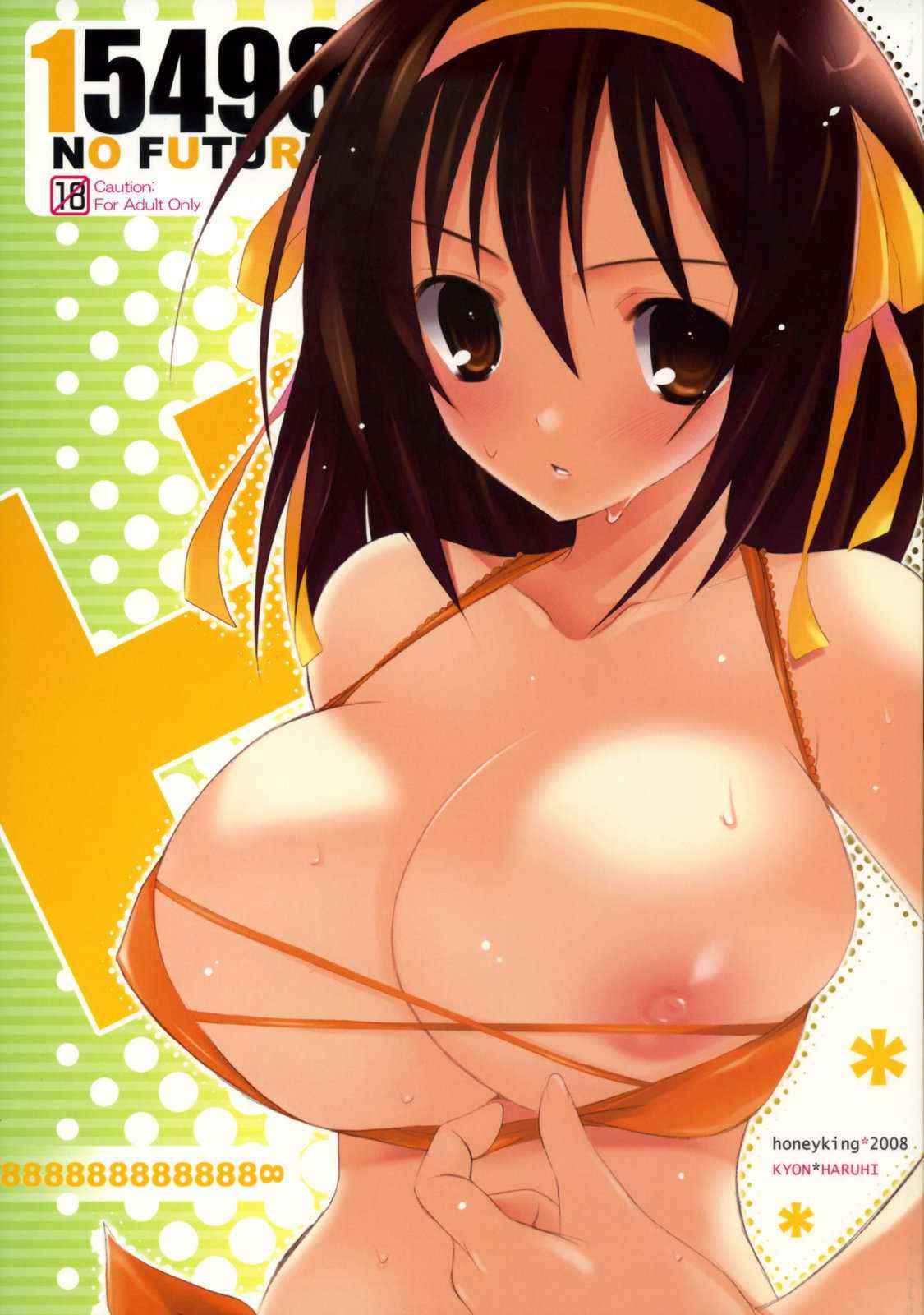 [honeyking] 15498 NO FUTURE (Haruhi)