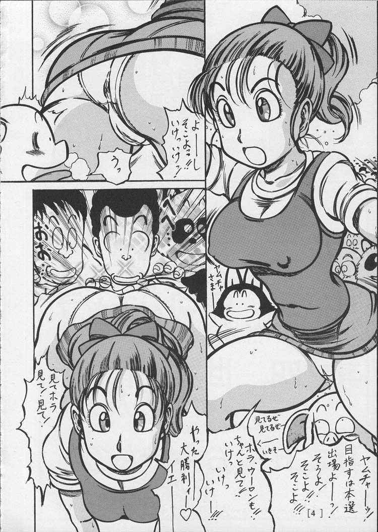 [Takimoto Dojo] Meisou Oyako Natsu (Dragonball)