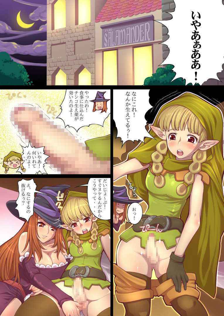 (C81) [Tsujimo ga Machi ni Yattekita!!! (Tsujizen)] Erotica Crown - The Bitch Witch (Dragon's Crown) [Digital]