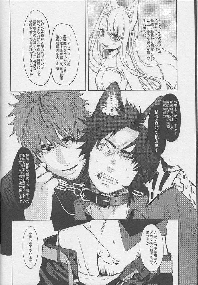 (C84)[Mecchori (Mitsuru)] Fate Wolf (Fate Zero)