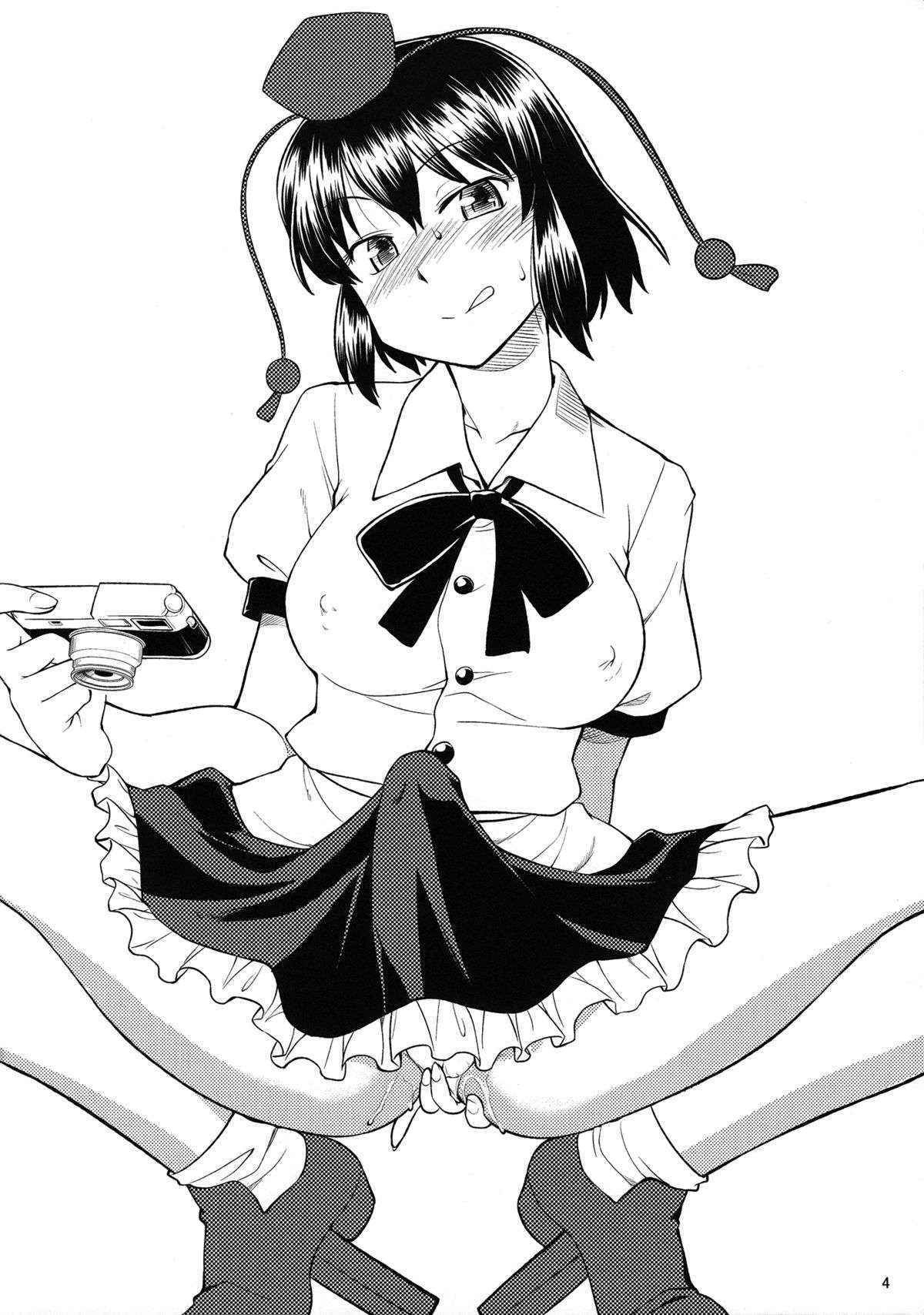 (C84) [Hinemosuan (Hinemosu Notari)] If There's a Hole, I Want to Use It! (Touhou Project) [English] {Sharpie Translations}