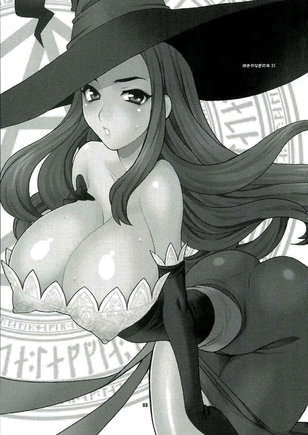 (COMIC1☆7) [SHALLOT COCO (Yukiyanagi)] Yukiyanagi no Hon 31 Majo to Reiyaku (Dragon's Crown)