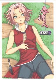 (C70) [Koala Machine (Tokiwa Tamiki)] Haru Machibito (NARUTO)