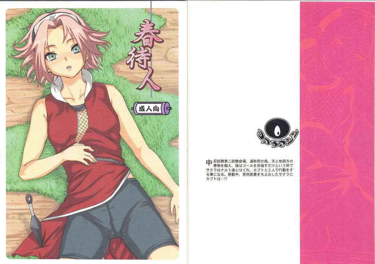 (C70) [Koala Machine (Tokiwa Tamiki)] Haru Machibito (NARUTO)